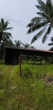 Tarlada terk edilmiş ve ihmal edilmiş bir baraka var..
