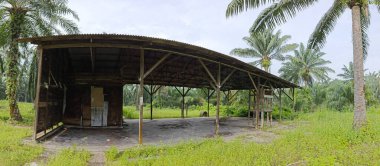 Tarlada terk edilmiş ve ihmal edilmiş bir baraka var..