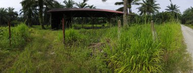 Tarlada terk edilmiş ve ihmal edilmiş bir baraka var..