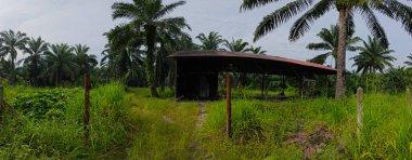 Tarlada terk edilmiş ve ihmal edilmiş bir baraka var..