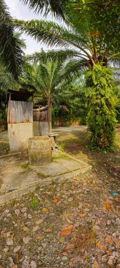 Terk edilmiş kırsal tuvalet ve ıssız bir çiftlikteki banyo..