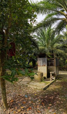 Terk edilmiş kırsal tuvalet ve ıssız bir çiftlikteki banyo..