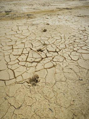 common natural phenomenon on the earth surface cracking.  clipart