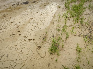 Dünya yüzeyindeki yaygın doğal fenomen çatlıyor. 