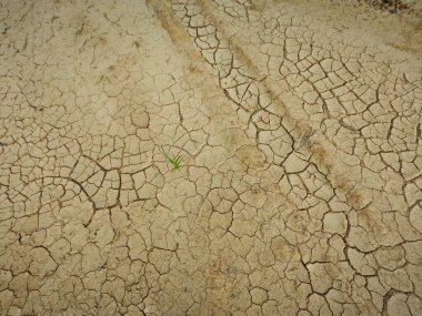 Dünya yüzeyindeki yaygın doğal fenomen çatlıyor. 