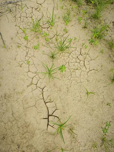 stock image common natural phenomenon on the earth surface cracking. 