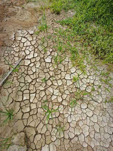 Stock image common natural phenomenon on the earth surface cracking. 