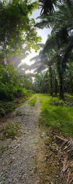 Geniş panoramik manzara kırsal araziye aydınlık günün manzarası. 