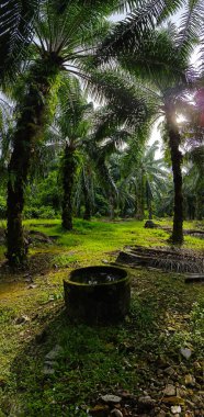 Geniş panoramik manzara kırsal araziye aydınlık günün manzarası. 