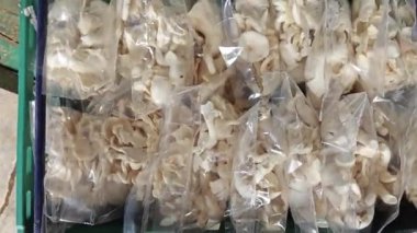 Beyaz istiridye mantarı plastik torbalara doldurulmuş.. 