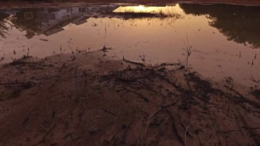 Sabahın erken saatlerinde yerleşim yerinin yanındaki durgun yağmur suyu havuzunda güneş doğuyor.. 