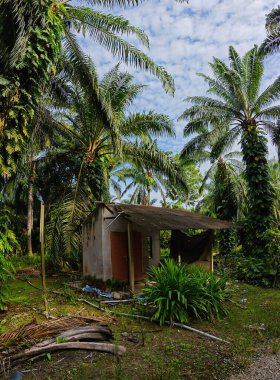 Geniş panoramik manzara çalı yapraklı vahşi canavar çiftlikte leziz.. 