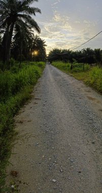 Çiftliğe giden kırsal yolun geniş panoramik manzarası.