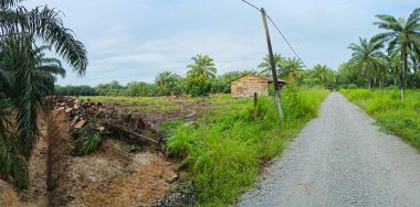 Çiftliğe giden kırsal yolun geniş panoramik manzarası.