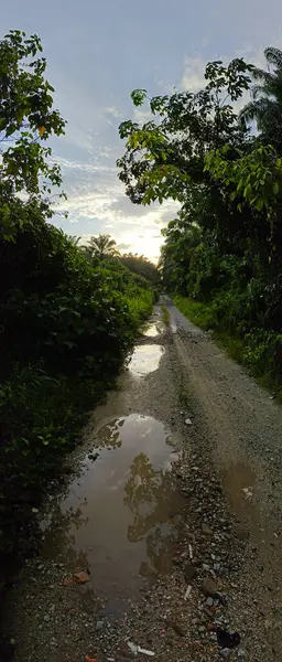 Çiftliğe giden kırsal yolun geniş panoramik manzarası.