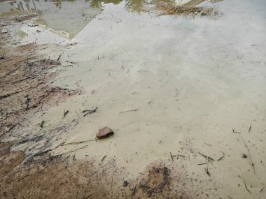 Yağmur suyunun durgun havuzundaki çamurlu alçıpan sahnesi. 