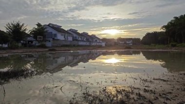 Yerleşim bölgesindeki durgun yağmur suyu havuzu üzerinde yansıtıcı sahne. 