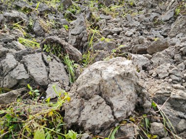 Boş arazinin manzarası yeni sürülmüş toprak tarım için hazırlanıyor..
