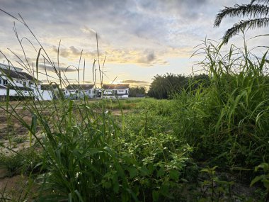 Boş arazinin çevresindeki renkli gökyüzüne bakıyorum.. 