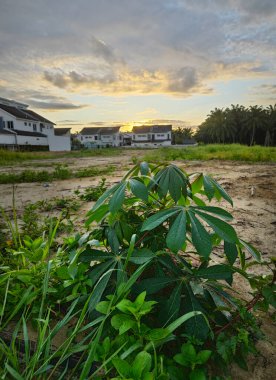 Boş arazinin çevresindeki renkli gökyüzüne bakıyorum.. 