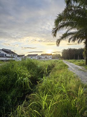 Boş arazinin çevresindeki renkli gökyüzüne bakıyorum.. 