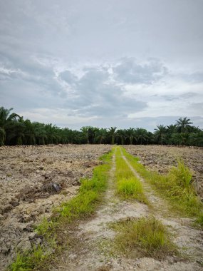 Bulutlu mavi gökyüzüne bakıyorum.. 