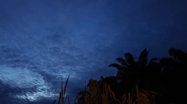 Güzel gökyüzü manzarasına bakıyorum..