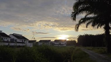 Sabah güneşi doğar kırsal yol kenarındaki çalılıklara doğru.. 