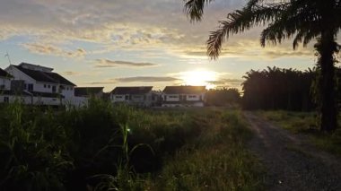 Sabah güneşi doğar kırsal yol kenarındaki çalılıklara doğru.. 