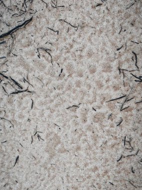 Yüzey toprağının dokusu erozyona maruz kalır..