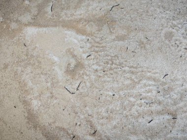 Yüzey toprağının dokusu erozyona maruz kalır..