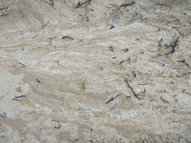 Yüzey toprağının dokusu erozyona maruz kalır..