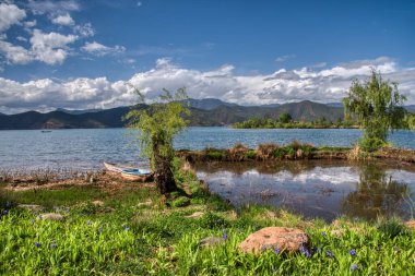 Tatlı su gölünün etrafında büyüyen güzel bitki örtüsü..