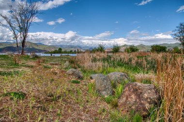 Beautiful vegetation landscape growing around the fresh water lake. clipart