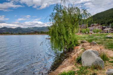 Tatlı su gölünün etrafında büyüyen güzel bitki örtüsü..