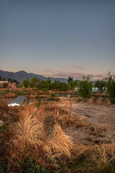 Tatlı su gölünün etrafında büyüyen güzel bitki örtüsü..