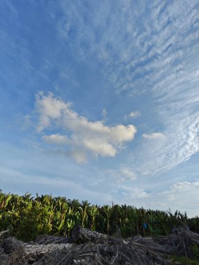 Güzel bulutlu sabah mavi gökyüzüne bakıyorum.. 