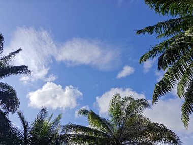 Güzel öğleden sonra mavi gökyüzüne bakıyorum..