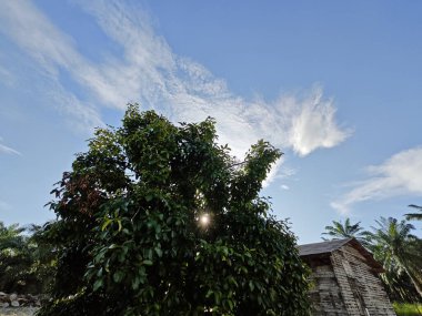 Güzel öğleden sonra mavi gökyüzüne bakıyorum..