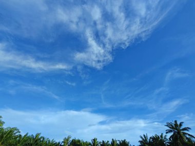 Güzel öğleden sonra mavi gökyüzüne bakıyorum..