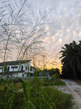 Yeni bir günün şafağında yukarılara bakıyorum.. 