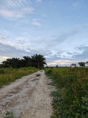 Yeni bir günün şafağında yukarılara bakıyorum.. 