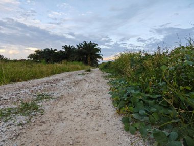 Yeni bir günün şafağında yukarılara bakıyorum.. 