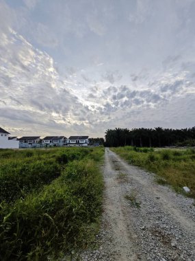 Yeni bir günün şafağında yukarılara bakıyorum.. 