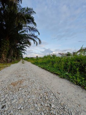 Yeni bir günün şafağında yukarılara bakıyorum.. 