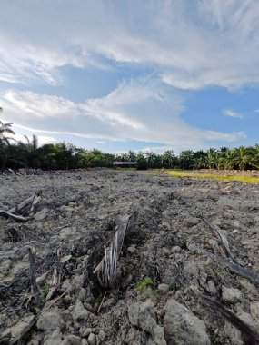 Boş topraklarda gündüz vakti mavi gökyüzü.