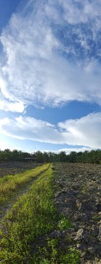 Gündüz vakti boş araziye giden patika..