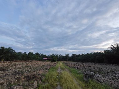 Aydınlık sabah mavi gökyüzü boş topraklarda. 