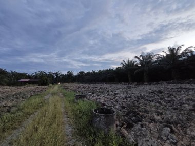 Aydınlık sabah mavi gökyüzü boş topraklarda. 