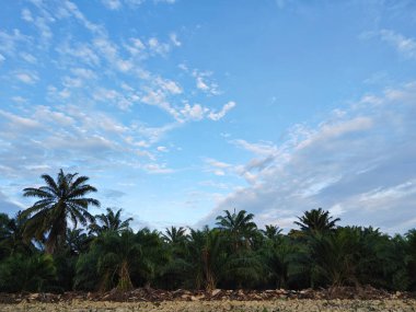 Aydınlık sabah mavi gökyüzü boş topraklarda. 